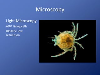 Microscopy 
Light Microscopy 
ADV: living cells 
DISADV: low 
resolution 
 