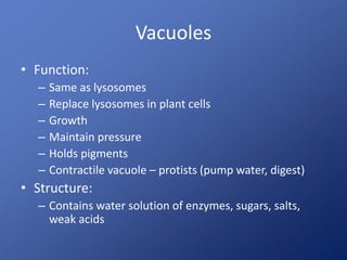 Vacuoles 
• Function: 
– Same as lysosomes 
– Replace lysosomes in plant cells 
– Growth 
– Maintain pressure 
– Holds pigments 
– Contractile vacuole – protists (pump water, digest) 
• Structure: 
– Contains water solution of enzymes, sugars, salts, 
weak acids 
 