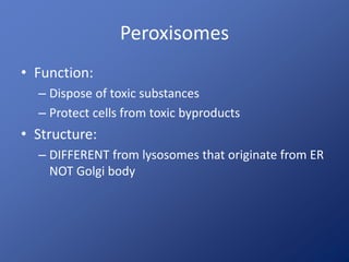 Peroxisomes 
• Function: 
– Dispose of toxic substances 
– Protect cells from toxic byproducts 
• Structure: 
– DIFFERENT from lysosomes that originate from ER 
NOT Golgi body 
 