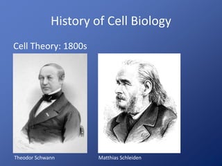 History of Cell Biology 
Cell Theory: 1800s 
Theodor Schwann Matthias Schleiden 
 