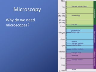 Microscopy 
Why do we need 
microscopes? 
 