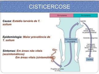 CISTICERCOSE 
Causa: Estádio larvário de T. 
solium 
Epidemiologia: Maior prevalência de 
T. solium 
Sintomas: Em áreas não vitais 
(assintomáticos) 
Em áreas vitais (sintomático) 
 