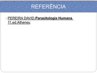 REFERÊNCIA 
PEREIRA DAVID.Parasitologia Humana. 
11.ed.Atheneu 
