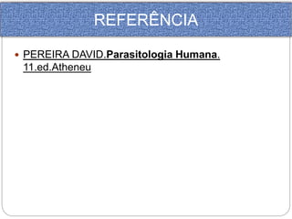 REFERÊNCIA 
 PEREIRA DAVID.Parasitologia Humana. 
11.ed.Atheneu 
