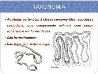 TAXONOMIA 
 As tênias pertencem á classe cercomeridea, subclasse 
cestodaria, que compreende animais com corpo 
achatado e em forma de fita. 
 São hermafroditas; 
 Não possuem sistema digestório; 
 