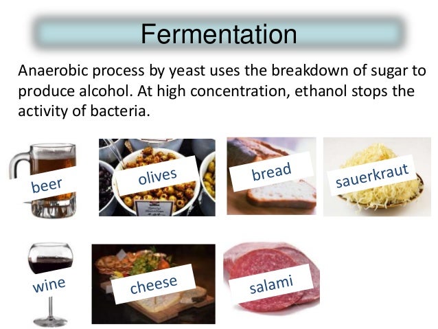 BIOLOGY FORM 4 CHAPTER 6 - NUTRITION PART 4