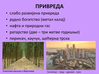 ПРИВРЕДА 
• слабо развијена привреда 
• рудно богатство (метал калај) 
• нафта и природни гас 
• ратарство (две – три жетве годишње) 
• пиринач, каучук, шећерна трска 
плантажа каучука у Вијетнаму Сингапур – град – држава - лука 
 