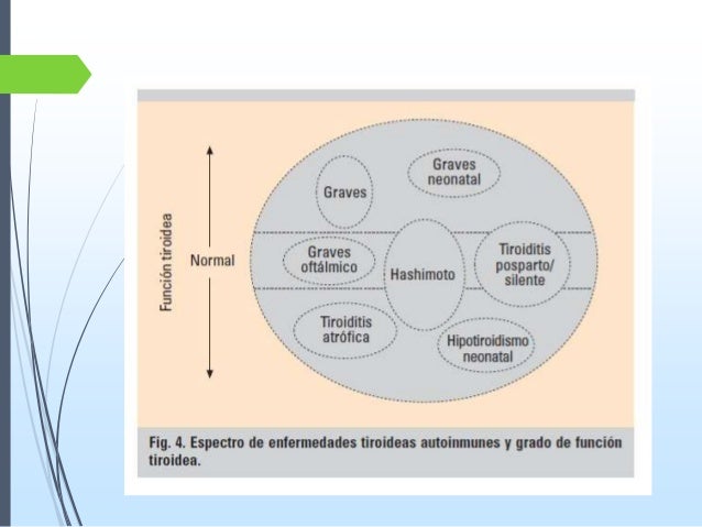 Los anticuerpos a las lamblias los síntomas