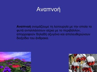 Αναπνοή 
Αναπνοή ονομάζουμε τη λειτουργία με την οποία τα 
φυτά ανταλλάσσουν αέρια με το περιβάλλον, 
απορροφούν δηλαδή οξυγόνο και απελευθερώνουν 
διοξείδιο του άνθρακα. 
 
