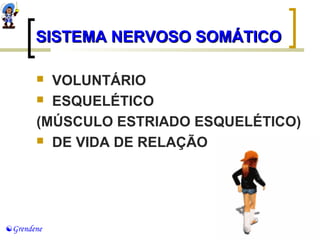 SSIISSTTEEMMAA NNEERRVVOOSSOO SSOOMMÁÁTTIICCOO 
 VOLUNTÁRIO 
 ESQUELÉTICO 
(MÚSCULO ESTRIADO ESQUELÉTICO) 
 DE VIDA DE RELAÇÃO 
Grendene 
 