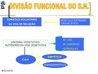 VISCERAL-VEGETATIVO-AUTÔNOMO- 
Grendene 
DA VIDA VEGETATIVA 
 