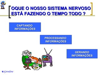 OOQQUUEE OO NNOOSSSSOO SSIISSTTEEMMAA NNEERRVVOOSSOO 
EESSTTÁÁ FFAAZZEENNDDOO OO TTEEMMPPOO TTOODDOO ?? 
Grendene 
CCAAPPTTAANNDDOO 
IINNFFOORRMMAAÇÇÕÕEESS 
GGEERRAANNDDOO 
IINNFFOORRMMAAÇÇÕÕEESS 
PPRROOCCEESSSSAANNDDOO 
IINNFFOORRMMAAÇÇÕÕEESS 
 