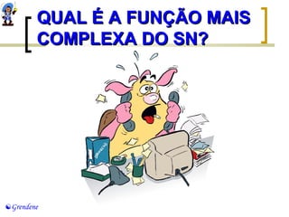 QQUUAALL ÉÉ AA FFUUNNÇÇÃÃOO MMAAIISS 
CCOOMMPPLLEEXXAA DDOO SSNN?? 
Grendene 
 
