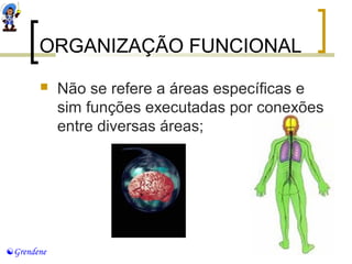 ORGANIZAÇÃO FUNCIONAL 
 Não se refere a áreas específicas e 
sim funções executadas por conexões 
entre diversas áreas; 
Grendene 
 
