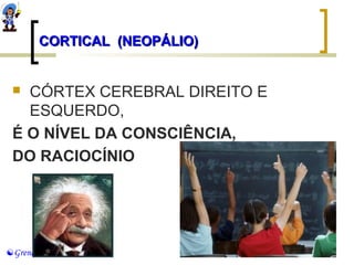 CORTICAL ((NNEEOOPPÁÁLLIIOO)) 
 CÓRTEX CEREBRAL DIREITO E 
ESQUERDO, 
É O NÍVEL DA CONSCIÊNCIA, 
DO RACIOCÍNIO 
Grendene 
 