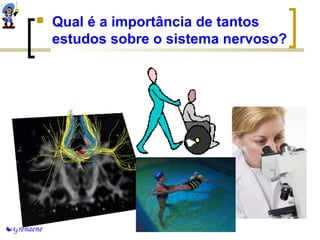  Qual é a importância de tantos 
estudos sobre o sistema nervoso? 
Grendene 
 