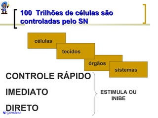 100 TTrriillhhõõeess ddee ccéélluullaass ssããoo 
ccoonnttrroollaaddaass ppeelloo SSNN 
Grendene 
células 
órgãos 
sistemas 
tecteidcoidsos 
CONTROLE RÁPIDO 
IMEDIATO 
DIRETO 
ESTIMULA OU 
INIBE 
 
