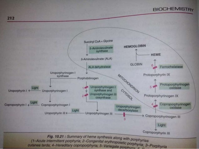 Read Anforderungen An