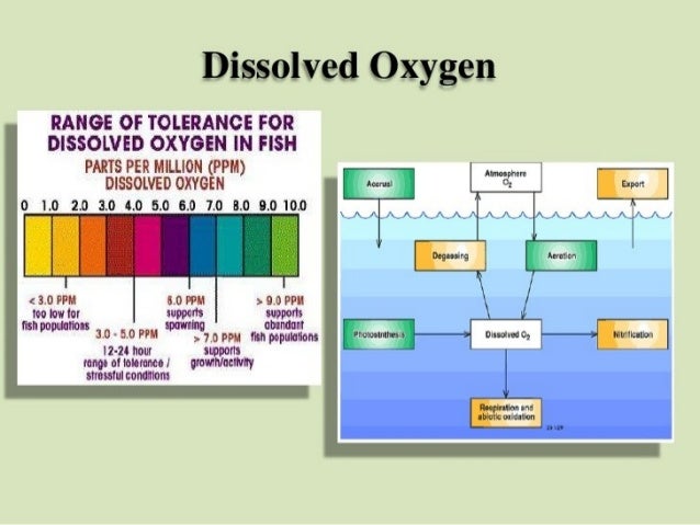 table 1 water quality vs fish population dissolved oxygen View lab report - bio 100 - lab 1 scientific method from bio 100 at university of mount olive - mount olive bio 100 lab 1 scientific method table 2: water quality vs fish population dissolved. table 1 water quality vs fish population dissolved oxygen View lab report - bio 100 - lab 1 scientific method from bio 100 at university of mount olive - mount olive bio 100 lab 1 scientific method table 2: water quality vs fish population dissolved.