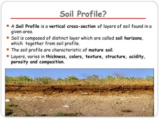 Soil Profile? 
 A Soil Profile is a vertical cross-section of layers of soil found in a 
given area. 
 Soil is composed of distinct layer which are called soil horizons, 
which together from soil profile. 
 The soil profile are characteristic of mature soil. 
 Layers, varies in thickness, colors, texture, structure, acidity, 
porosity and composition. 
 