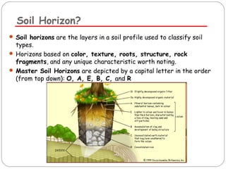 Soil Horizon? 
 Soil horizons are the layers in a soil profile used to classify soil 
types. 
 Horizons based on color, texture, roots, structure, rock 
fragments, and any unique characteristic worth noting. 
 Master Soil Horizons are depicted by a capital letter in the order 
(from top down): O, A, E, B, C, and R 
 