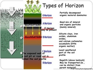 Types of Horizon 
Partially decomposed 
organic material dominates 
Good mix of mineral 
and organic particles 
(mainly mineral) 
Silicate clays, iron 
oxides, aluminium 
oxides, 
and calcium carbonates 
accumulate (little 
organic matter) 
Least weathered 
part of the soil 
profile 
Regolith (above bedrock) 
May be transported (ie., 
can be distinct from 
parent material) 
http://www.physicalgeography.net 
EE HHoorriizzoonn 
mmaayy bbee pprreesseenntt 
ELUVIATION 
ILLUVIATION 
The exposed wall of 
a soil pit or road cut is 
called the soil profile 
 