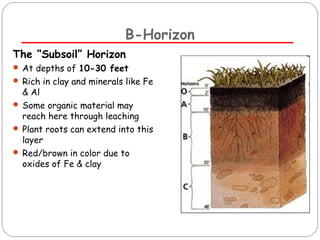 B-Horizon 
The “Subsoil” Horizon 
 At depths of 10-30 feet 
 Rich in clay and minerals like Fe 
& Al 
 Some organic material may 
reach here through leaching 
 Plant roots can extend into this 
layer 
 Red/brown in color due to 
oxides of Fe & clay 
 