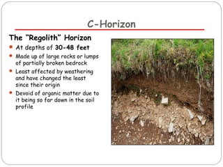 C-Horizon 
The “Regolith” Horizon 
 At depths of 30-48 feet 
 Made up of large rocks or lumps 
of partially broken bedrock 
 Least affected by weathering 
and have changed the least 
since their origin 
 Devoid of organic matter due to 
it being so far down in the soil 
profile 
 