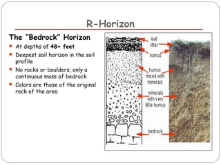 R-Horizon 
The “Bedrock” Horizon 
 At depths of 48+ feet 
 Deepest soil horizon in the soil 
profile 
 No rocks or boulders, only a 
continuous mass of bedrock 
 Colors are those of the original 
rock of the area 
 