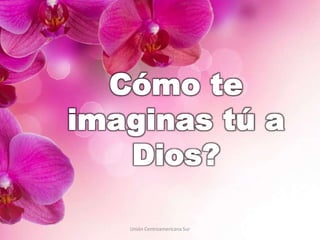 Unión Centroamericana Sur
 