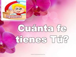 Unión Centroamericana Sur
 