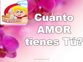 Unión Centroamericana Sur
 