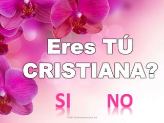 Unión Centroamericana Sur
 