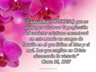 Unión Centroamericana Sur
 