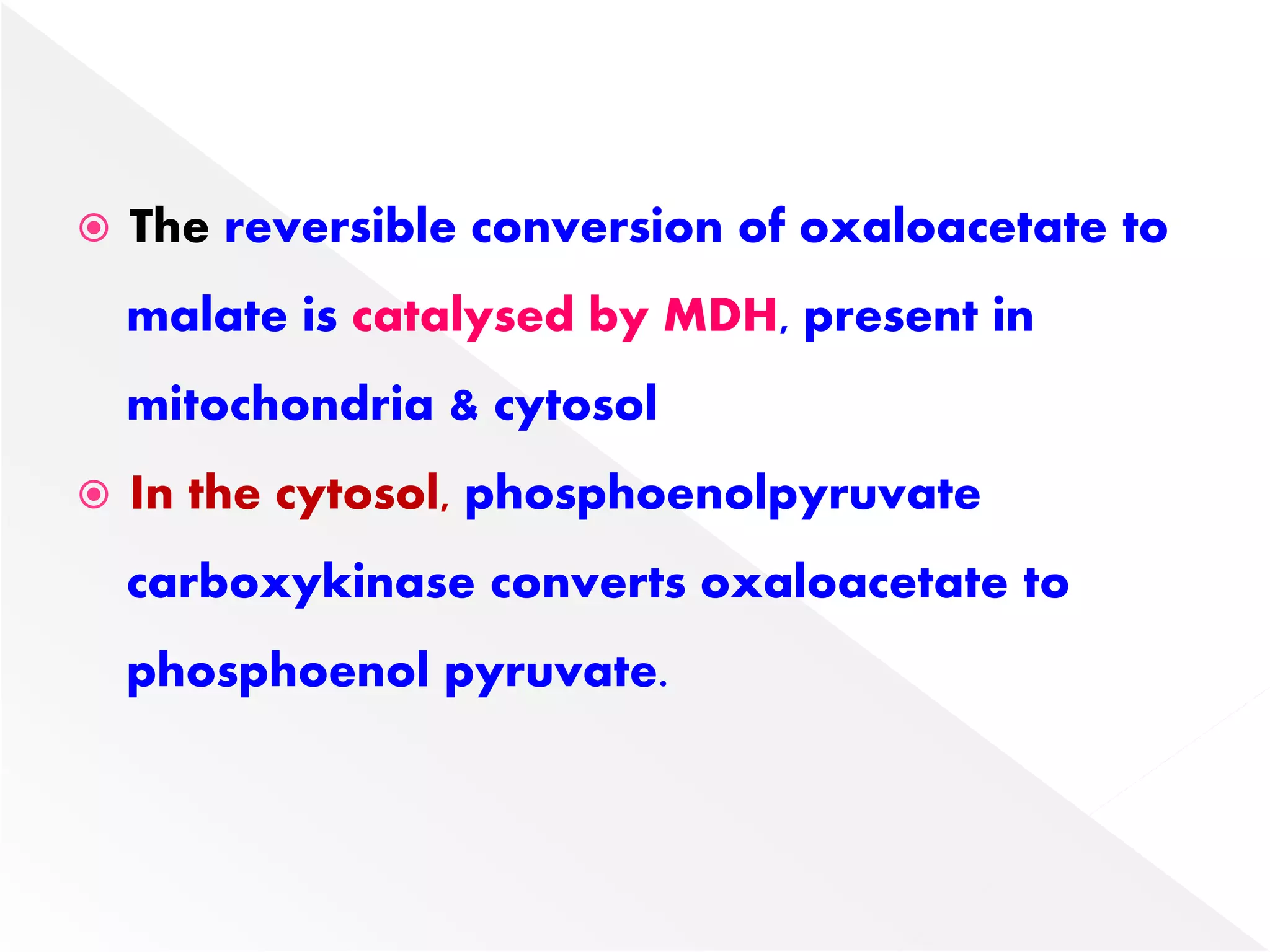  The reversible conversion of oxaloacetate to
malate is catalysed by MDH, present in
mitochondria & cytosol
 In the cytosol, phosphoenolpyruvate
carboxykinase converts oxaloacetate to
phosphoenol pyruvate.
 