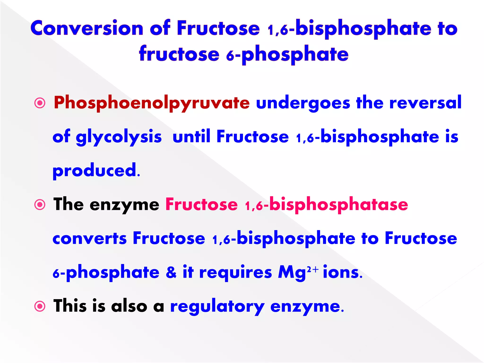  Phosphoenolpyruvate undergoes the reversal
of glycolysis until Fructose 1,6-bisphosphate is
produced.
 The enzyme Fructose 1,6-bisphosphatase
converts Fructose 1,6-bisphosphate to Fructose
6-phosphate & it requires Mg2+ ions.
 This is also a regulatory enzyme.
 