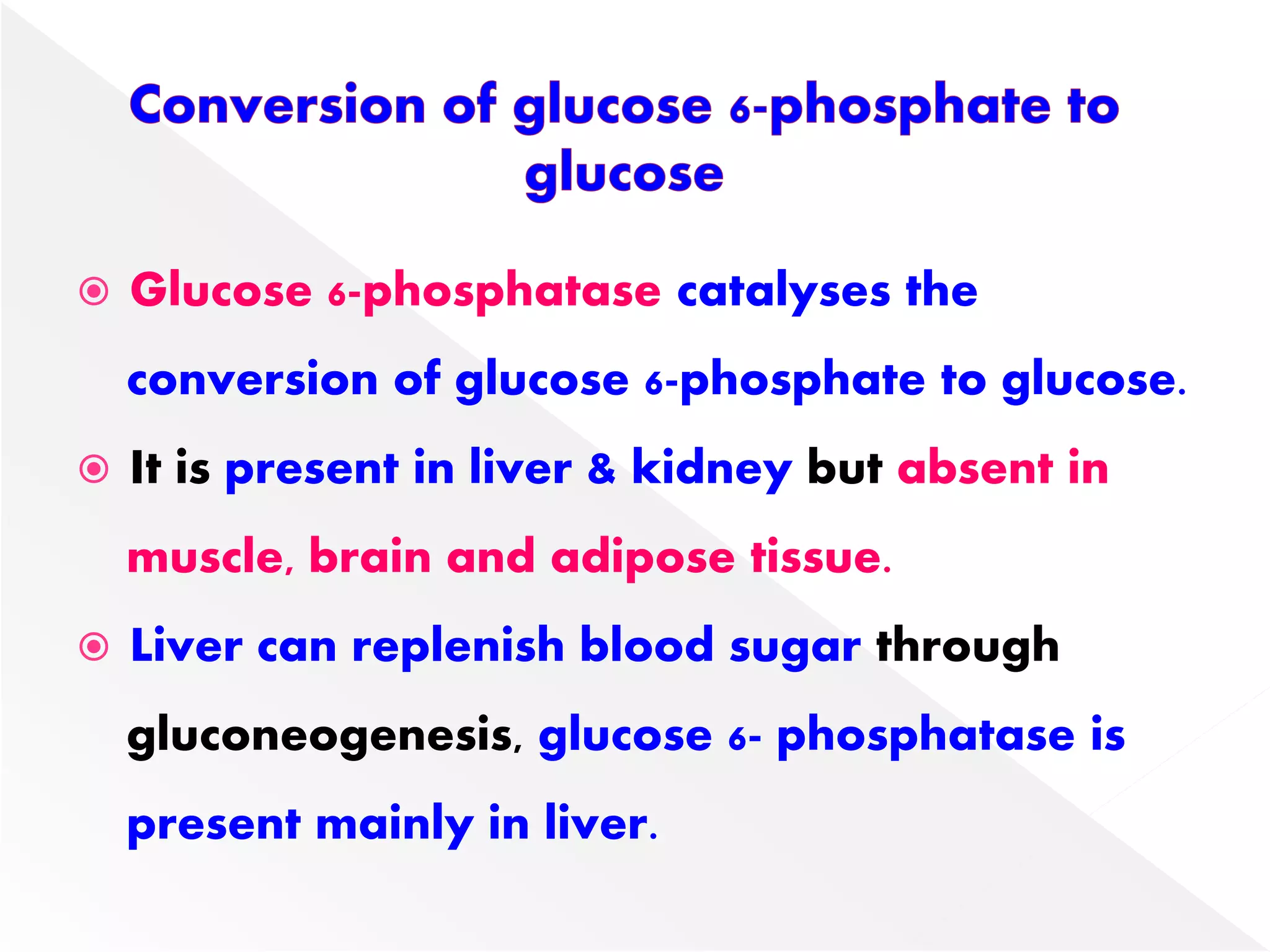  Glucose 6-phosphatase catalyses the
conversion of glucose 6-phosphate to glucose.
 It is present in liver & kidney but absent in
muscle, brain and adipose tissue.
 Liver can replenish blood sugar through
gluconeogenesis, glucose 6- phosphatase is
present mainly in liver.
 