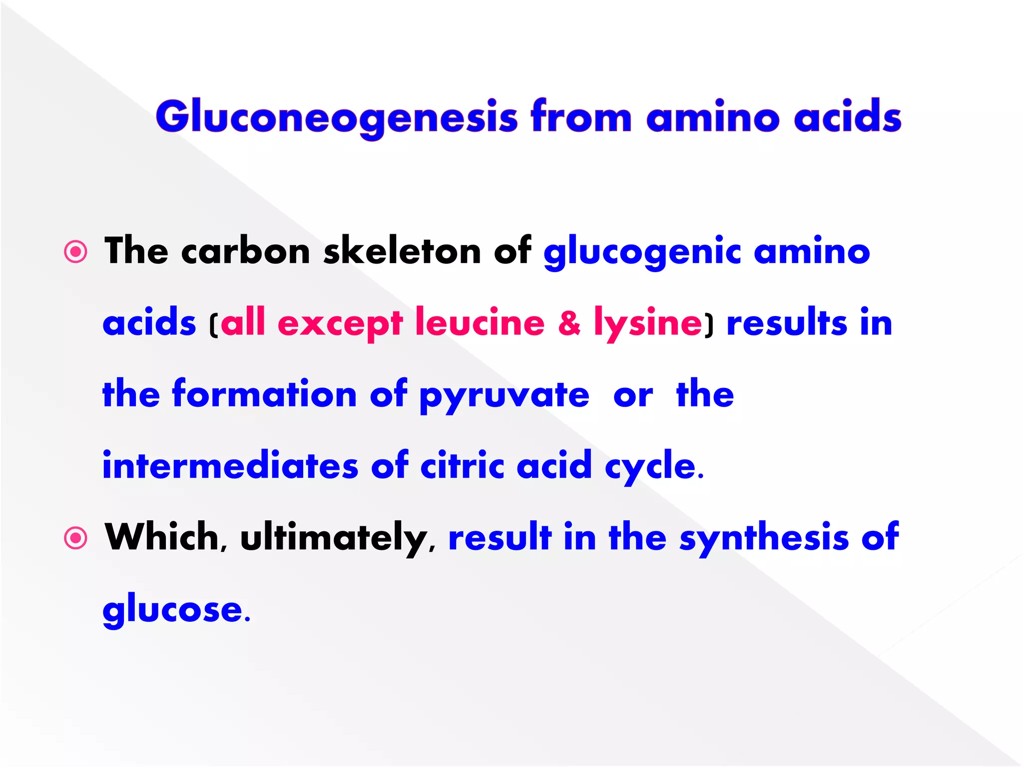 The carbon skeleton of glucogenic amino
acids (all except leucine & lysine) results in
the formation of pyruvate or the
intermediates of citric acid cycle.
 Which, ultimately, result in the synthesis of
glucose.
 