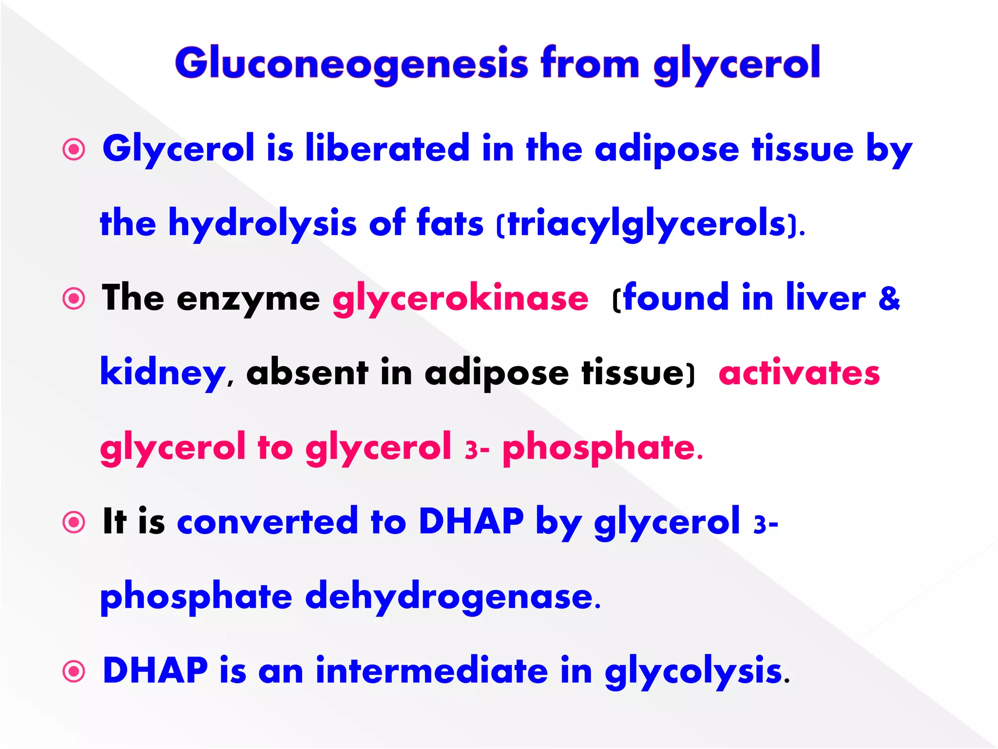  Glycerol is liberated in the adipose tissue by
the hydrolysis of fats (triacylglycerols).
 The enzyme glycerokinase (found in liver &
kidney, absent in adipose tissue) activates
glycerol to glycerol 3- phosphate.
 It is converted to DHAP by glycerol 3-
phosphate dehydrogenase.
 DHAP is an intermediate in glycolysis.
 