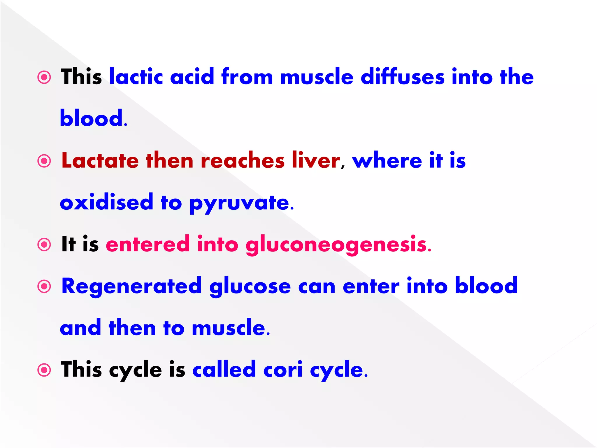  This lactic acid from muscle diffuses into the
blood.
 Lactate then reaches liver, where it is
oxidised to pyruvate.
 It is entered into gluconeogenesis.
 Regenerated glucose can enter into blood
and then to muscle.
 This cycle is called cori cycle.
 