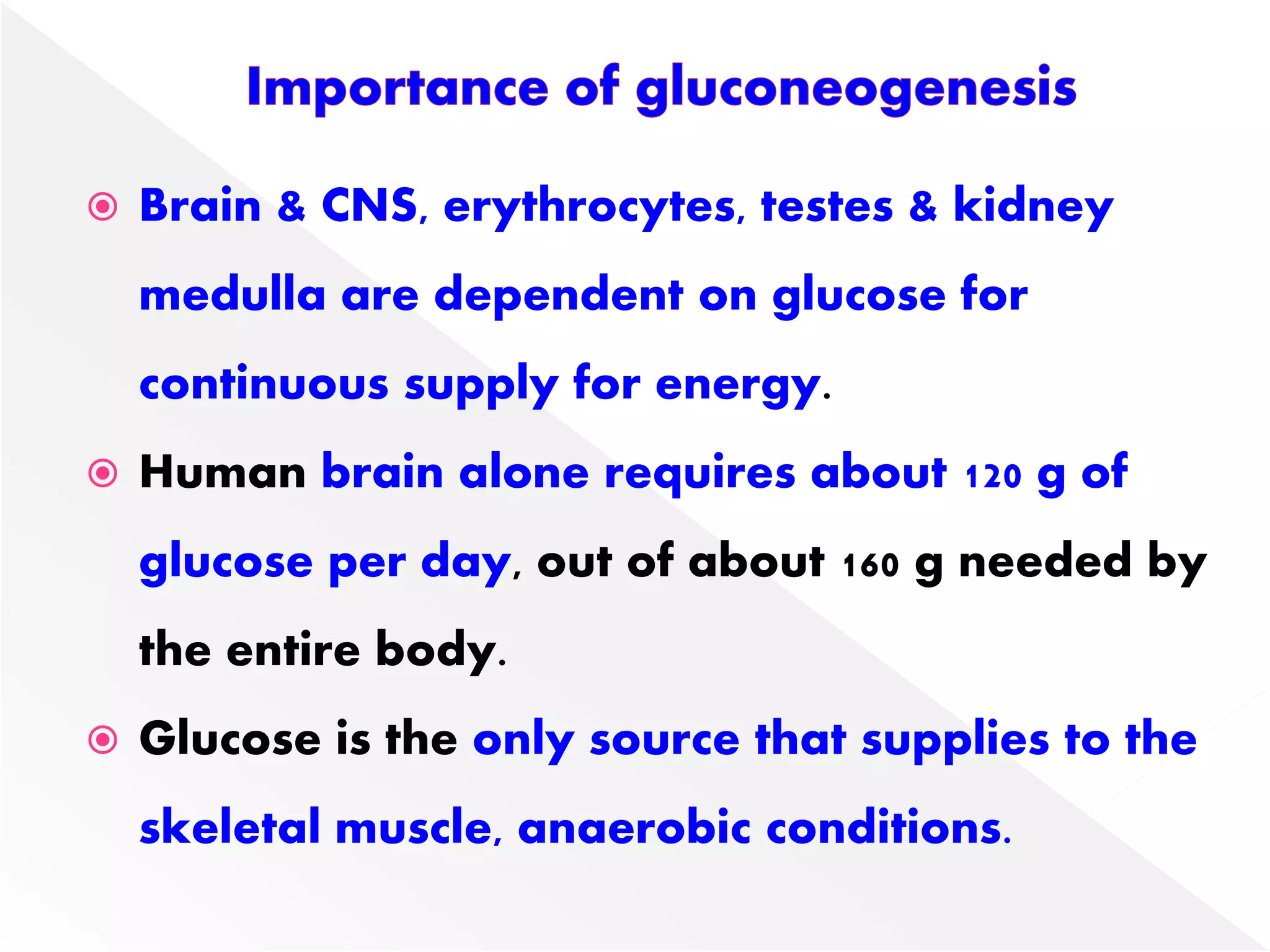  Brain & CNS, erythrocytes, testes & kidney
medulla are dependent on glucose for
continuous supply for energy.
 Human brain alone requires about 120 g of
glucose per day, out of about 160 g needed by
the entire body.
 Glucose is the only source that supplies to the
skeletal muscle, anaerobic conditions.
 