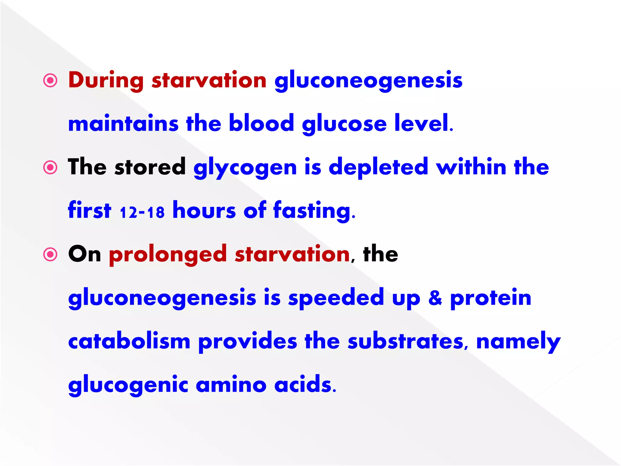  During starvation gluconeogenesis
maintains the blood glucose level.
 The stored glycogen is depleted within the
first 12-18 hours of fasting.
 On prolonged starvation, the
gluconeogenesis is speeded up & protein
catabolism provides the substrates, namely
glucogenic amino acids.
 