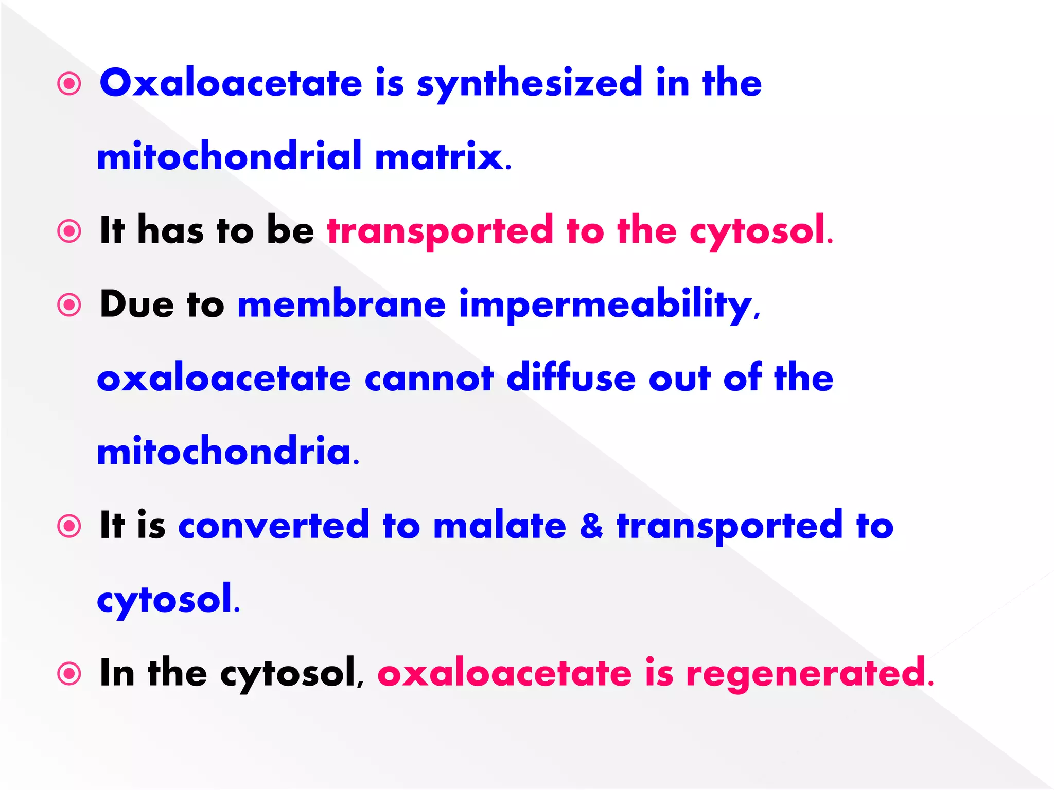 Oxaloacetate is synthesized in the
mitochondrial matrix.
 It has to be transported to the cytosol.
 Due to membrane impermeability,
oxaloacetate cannot diffuse out of the
mitochondria.
 It is converted to malate & transported to
cytosol.
 In the cytosol, oxaloacetate is regenerated.
 