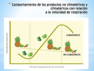 * Comportamiento de los productos no climatéricos y
climatéricos con relación
a la velocidad de respiración
 