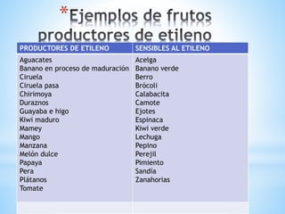 *
PRODUCTORES DE ETILENO SENSIBLES AL ETILENO
Aguacates
Banano en proceso de maduración
Ciruela
Ciruela pasa
Chirimoya
Duraznos
Guayaba e higo
Kiwi maduro
Mamey
Mango
Manzana
Melón dulce
Papaya
Pera
Plátanos
Tomate
Acelga
Banano verde
Berro
Brócoli
Calabacita
Camote
Ejotes
Espinaca
Kiwi verde
Lechuga
Pepino
Perejil
Pimiento
Sandía
Zanahorias
 