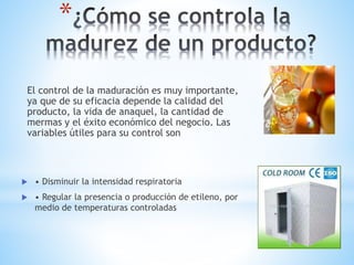 *
El control de la maduración es muy importante,
ya que de su eficacia depende la calidad del
producto, la vida de anaquel, la cantidad de
mermas y el éxito económico del negocio. Las
variables útiles para su control son
 • Disminuir la intensidad respiratoria
 • Regular la presencia o producción de etileno, por
medio de temperaturas controladas
 