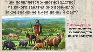 *
–
возникновение
животноводства
на юге Беларуси
 