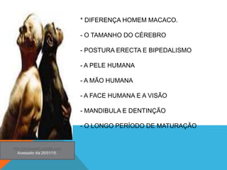 * DIFERENÇA HOMEM MACACO.
- O TAMANHO DO CÉREBRO
- POSTURA ERECTA E BIPEDALISMO
- A PELE HUMANA
- A MÃO HUMANA
- A FACE HUMANA E A VISÃO
- MANDIBULA E DENTINÇÃO
- O LONGO PERÍODO DE MATURAÇÃO
http://picasaweb.google.com
Acessado dia 25/01/15.
 