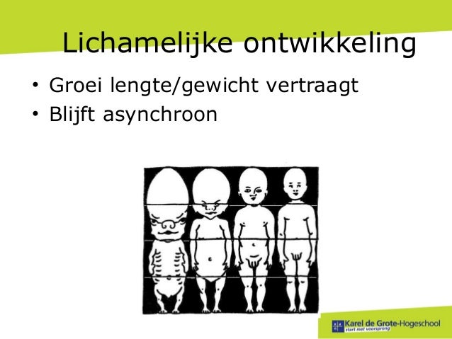 4. de peuter