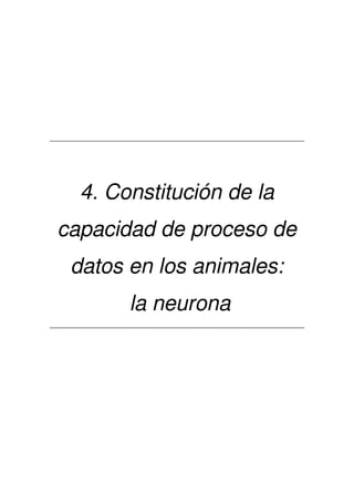 4. Constitución de la
capacidad de proceso de
datos en los animales:
la neurona
 